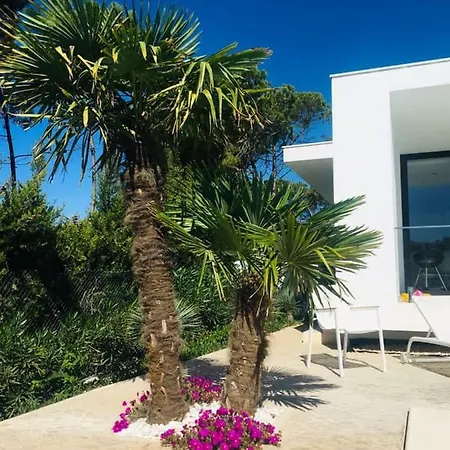Chafariz Holiday home Nadadouro